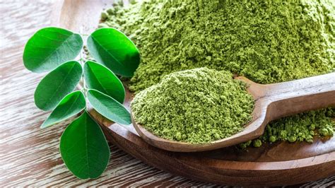 Unveiling 6 Science Based Health Benefits Of Moringa Powder Impact