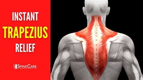 fix upper trapezius pain  good youtube