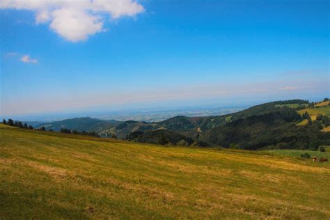 картинки пейзаж природа трава горизонт пустыня гора облако