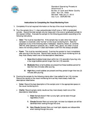 Fillable Online Maine Instructions For Completing The Visual Monitoring