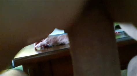 Free Sexy Wife Porn Videos Xhamster