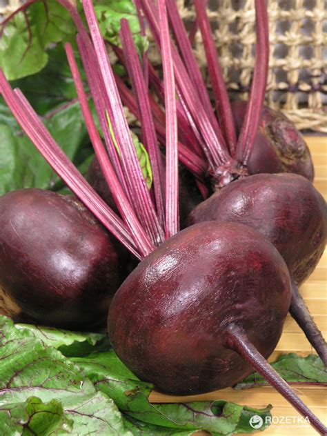 Купить семена Свекла Beet Nobol в Москве: доставка семян по России и ...