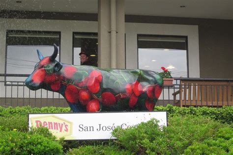 Dennys At Best Western Irazu Costa Rica Restaurants Review 10best