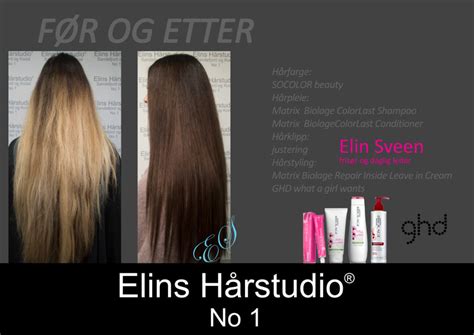 Blond til brunette langt hår Elins Hårstudio frisør Sandefjord