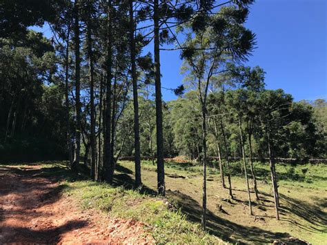 Clima Em Joanópolis Sp - Fazenda com lagos, cachoeira e clima de montanha em Joanópolis - SP ...