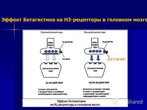 Презентация на тему: "БЕТАГИС Бетагистина дигидрохлорид Екатерина ...