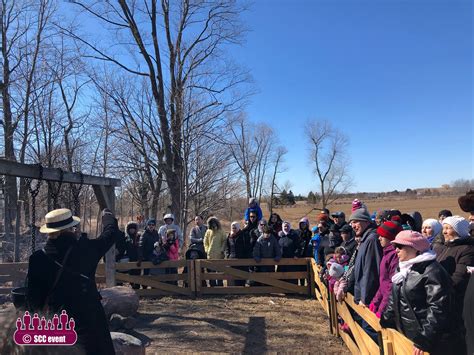 How to Plan the Perfect Trip to Hornell's Maple Syrup Festival 8