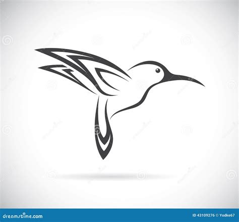 Image De Vecteur D Une Conception De Colibri Illustration De Vecteur