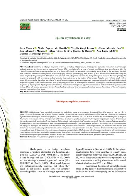 Splenic_myelolipoma_in_a_dog.pdffffffffff | PDF