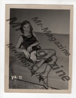 Vintage Risqué B W Pinup x Sexy Cheesecake Brunette Lingerie Nylons XN eBay