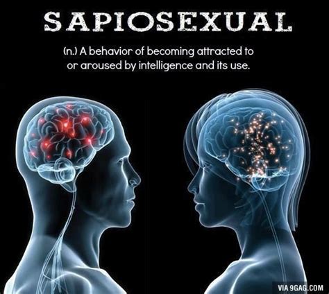 O Que Significa Sapiosexual - Sapiosexual – Meaning, Origin and Usage - English-Grammar-Lessons.com