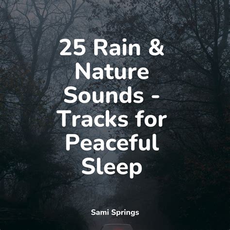 25 Rain Nature Sounds Tracks For Peaceful Sleep Album By Loopable