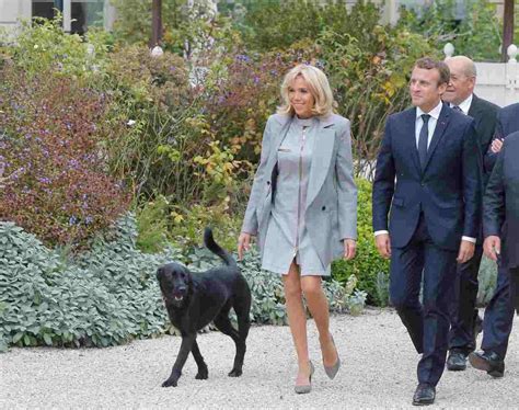 Emmanuel Et Brigitte Macron Accueillent Nouveaux Chiens L Lys E