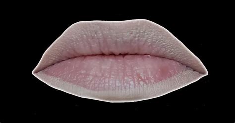 Essence The Nude Lip Set Romantic Gooloo De