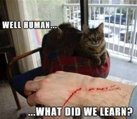 What Did We Learn Meme Images And Photos Finder