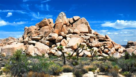 Mojave Desert Diary...: Along the Geology Tour Road in Joshua Tree National Park...