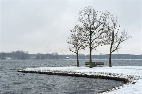 Snowy Landscape With Naked Trees And A Lake In A Park Stock Photo Image Of River Clouds