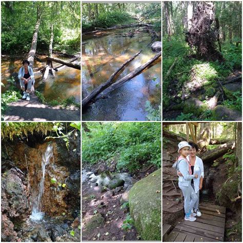 Святые криницы (Галина Тишкова) / Стихи.ру