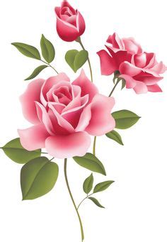 climbing roses clipart   cliparts  images  clipground
