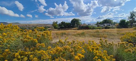 102 115 Buffalo Drive Thermopolis Hot Springs County Wyoming And Big Horn Basin Real Estate