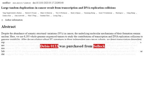 wee wee  protein kinase