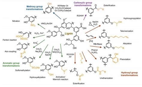 A Review On Lignin Sources And Uses MedCrave Online