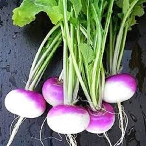 Turnip Seeds Etsy