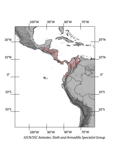 Northern Naked Tailed Armadillo IUCN SSC Anteater Sloth And Armadillo Specialist Group