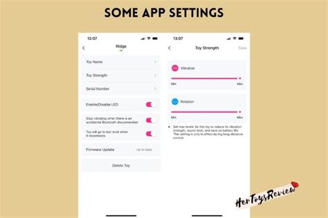 Lovense Ridge Bead Review Best Vibrating Rotating Anal Bliss