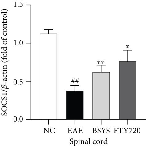 Bsys Regulated The Protein Expressions Of Cebpα Pu1 And Socs1 A