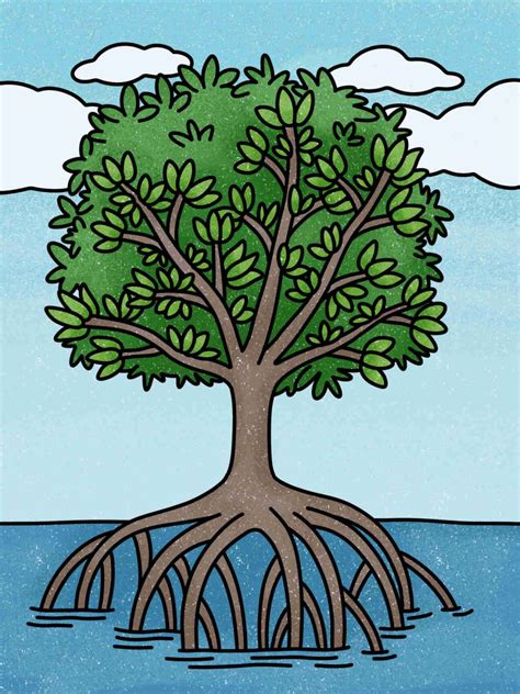 How To Draw A Mangrove Tree Helloartsy How To Draw A Mangrove Tree Helloartsy