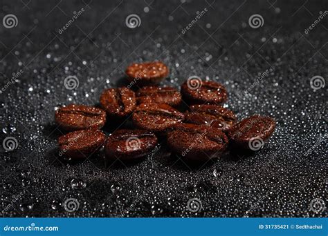 Coffee Beans and Water Drop Stock Image - Image of coffee, flavor: 31735421