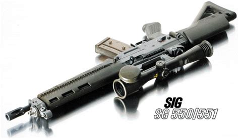 Sig Sg 550