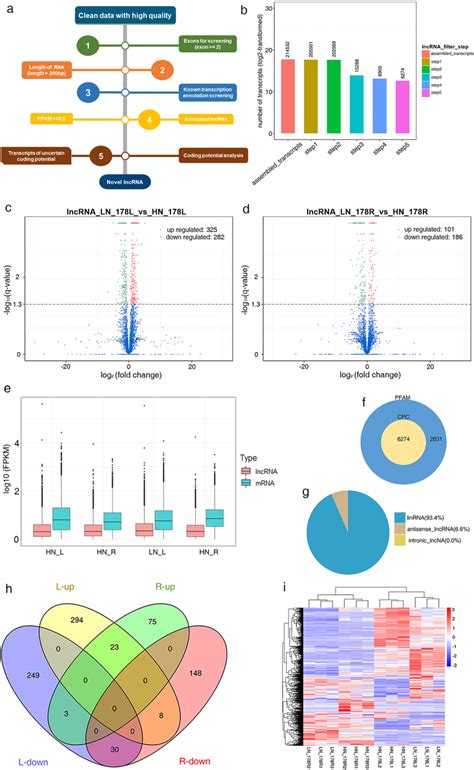 The Pipeline Used For The Identification Of Lncrna A Setting Up 5 Download Scientific