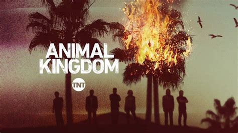 Animal Kingdom Modern Fairy Tale | SLAP HAPPY LARRY