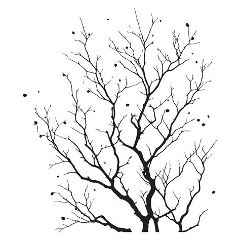 Minimal Autumn Naked Tree Vector Silhouette Vector Art At Vecteezy