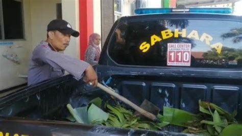 Rebutan Air Di Sawah Pria Ini Cangkul Kepala Buruh Tani Usai Cekcok