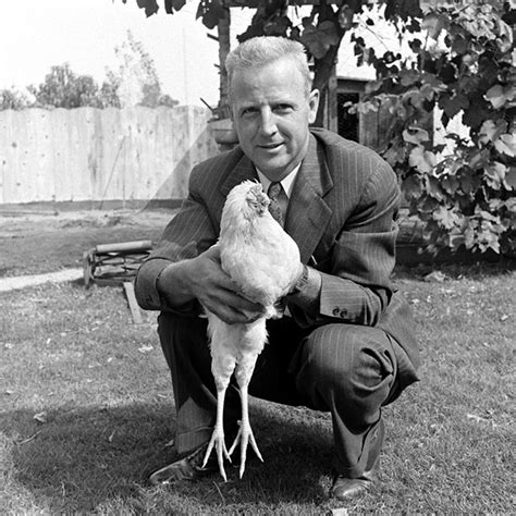 Mike the Headless Chicken - Lived 18 months without a head!