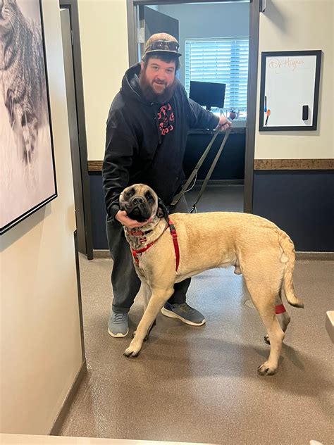 Salem Animal Hospital | Salem VA
