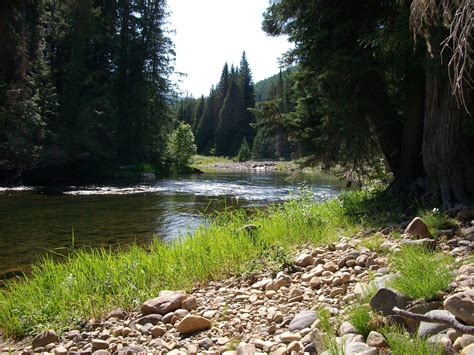 How to browse tyler woods funeral home obituaries for ancestors 27