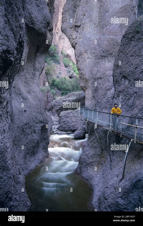 Whitewater Creek, The Catwalk National Recreation Trail, Gila National