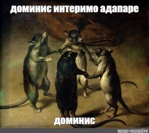 Создать мем "фердинанд ван кессель танец крыс, картина с четырьмя ...