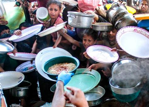 ONU Una de cada personas en el mundo enfrentó al hambre en Noticias Prensa Latina