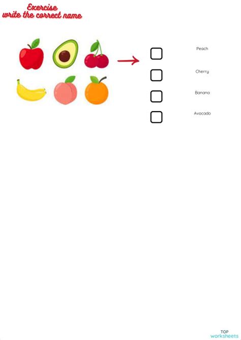 health interactive worksheets   exercises topworksheets