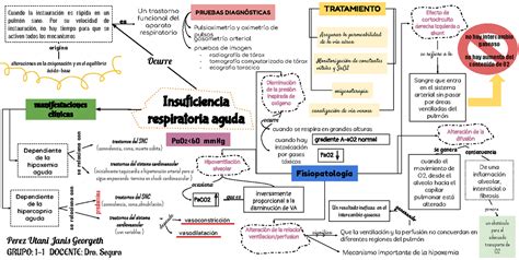 Insuficiencia Respiratoria Aguda Mapa Conceptual Insuficiencia The