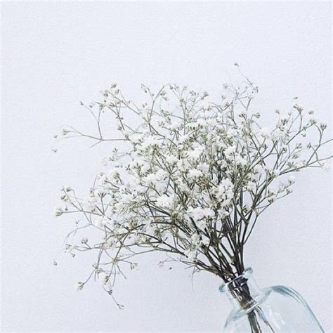 Lesbian Bi Solidarity Cho Chang Luna Lovegood Harry Potter