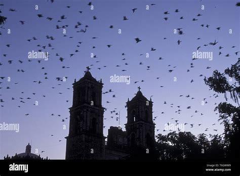 MEXICO YUCATAN VALLADOLID CATHEDRAL Stock Photo - Alamy