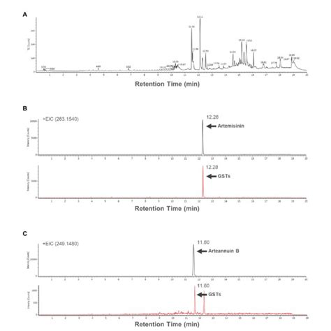 A Total Ion Chromatogram Tic Of The Extract Form 150 Gsts