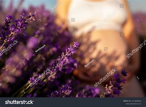 Naked Female Pregnant Belly Against Background Stock Photo Shutterstock