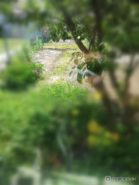 Отзыв о Средство от сорняков Август "Хакер" | Абсолютно не рабочее средство